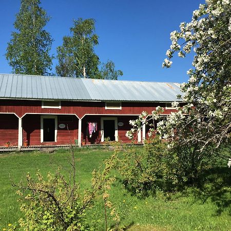 Ollilan Tupa Joensuun Laehellae Bed & Breakfast Ylämylly Eksteriør bilde