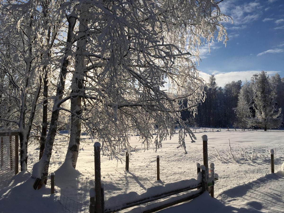 Ollilan Tupa Joensuun Laehellae Bed & Breakfast Ylämylly Eksteriør bilde