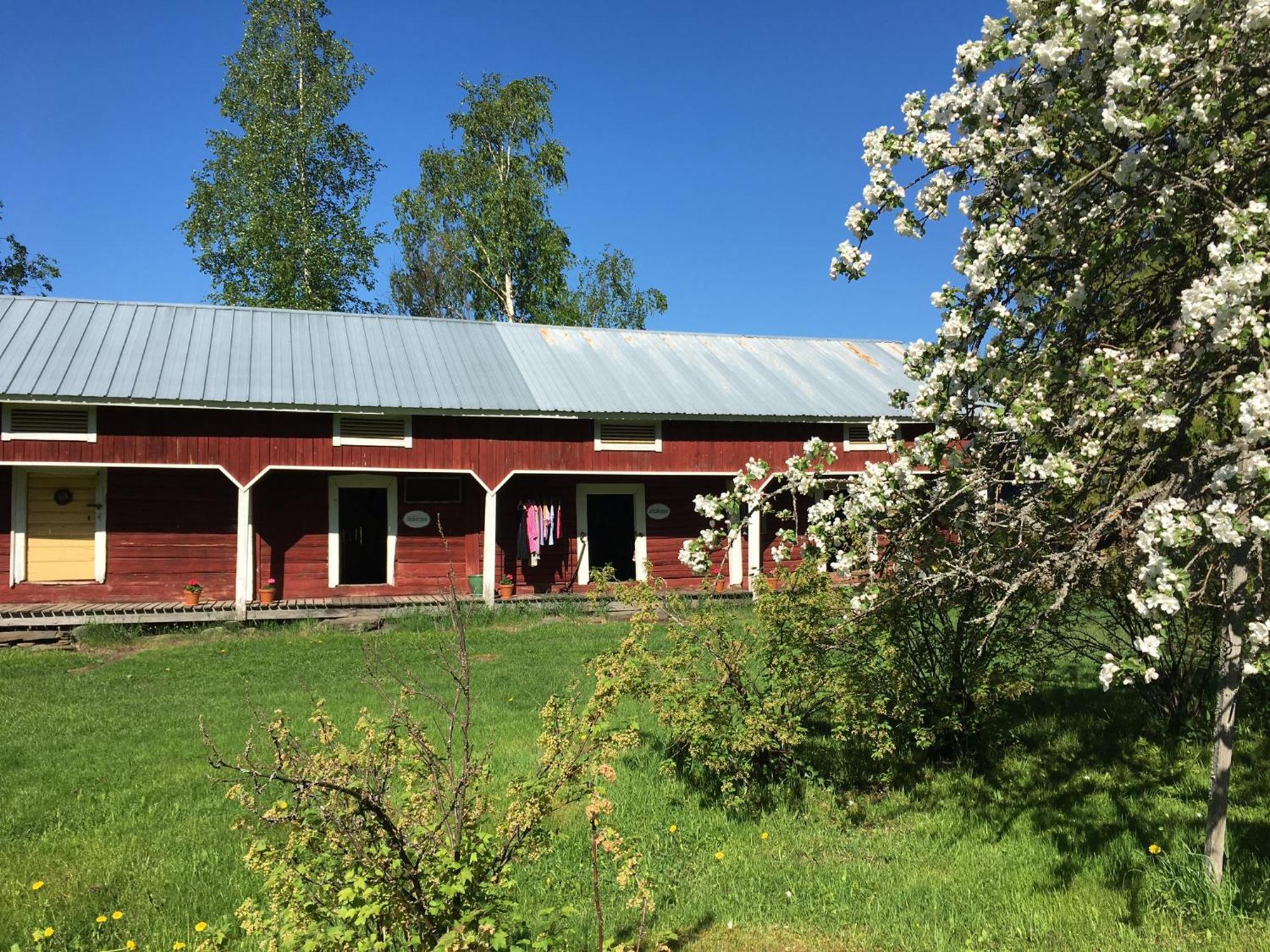 Ollilan Tupa Joensuun Laehellae Bed & Breakfast Ylämylly Eksteriør bilde